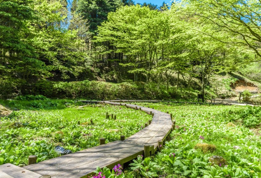 Rokko Alpine Botanical Garden, Kobe, Japan, Japan